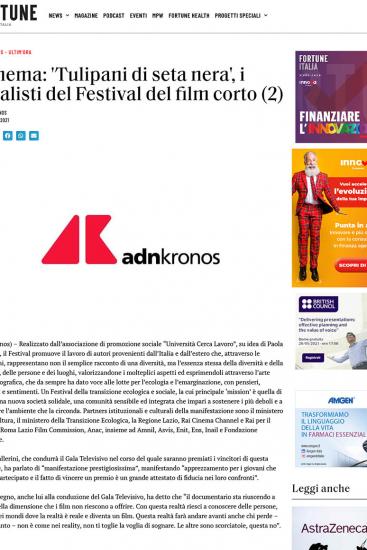 Fortuneita.com 2