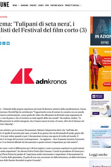 Fortuneita.com 3