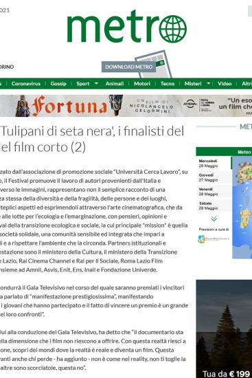 Metronews.it 2