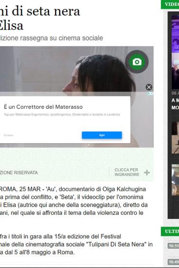Ansa 2 Copia
