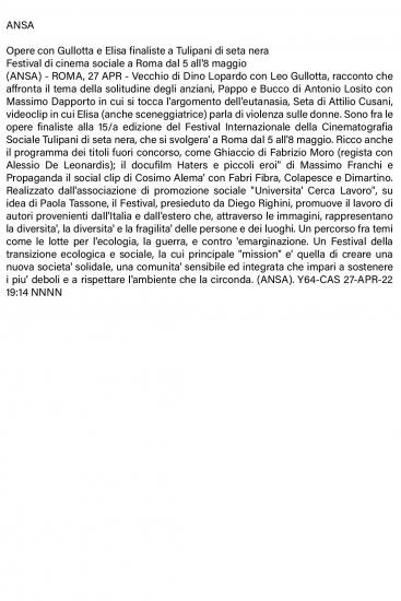 1 Ansa