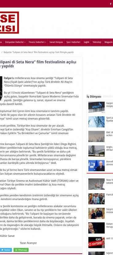 124 Birkoseyazisi.com