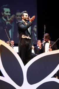 Img 8469 38966457582 O