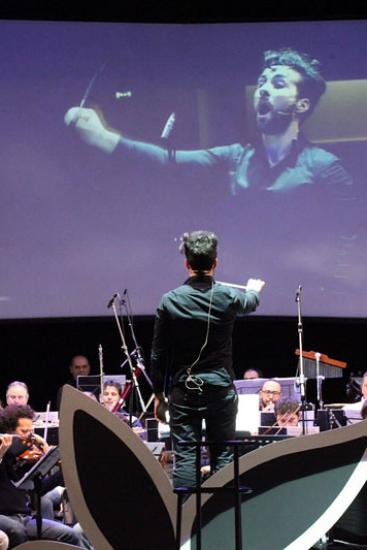 VII Festival TSN 2014